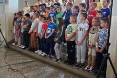 IMG-314da99d7a6bf9c86e9ed1c1186177e5-V