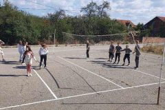 IMG-ee1e52515bf43ea71d64a62a7585ca9b-V